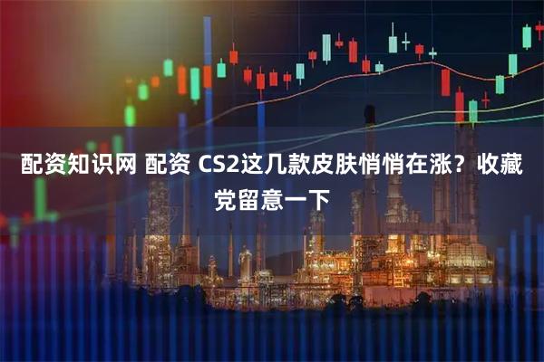 配资知识网 配资 CS2这几款皮肤悄悄在涨？收藏党留意一下